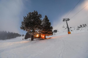 Panorama Krvavec Ski-in, Ski-out
